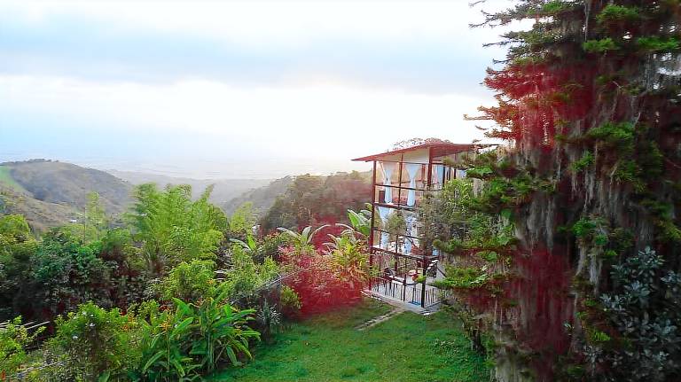 Casa Palmira