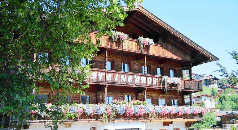 Pension Steinerhof — photo 4