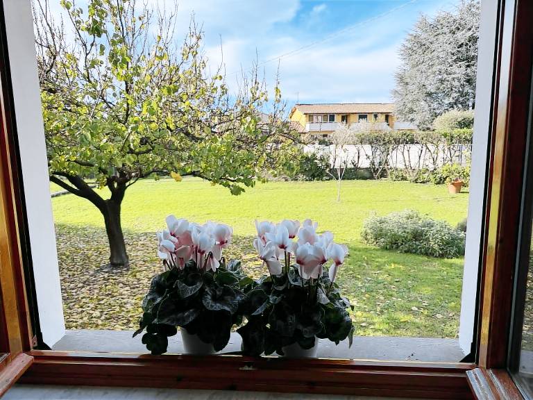 Fully equipped villa with garden, private pool & BBQ | Pet-friendly — photo 4