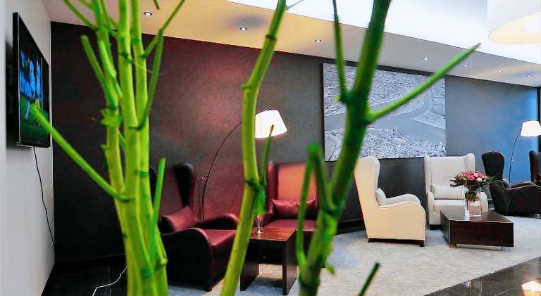 Hotel Rheingarten — photo 2