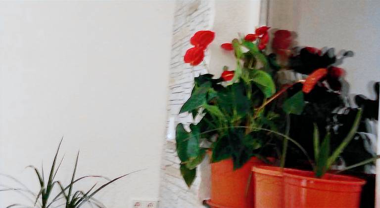 Holiday apartment | Perfect for remote work in Loerrach