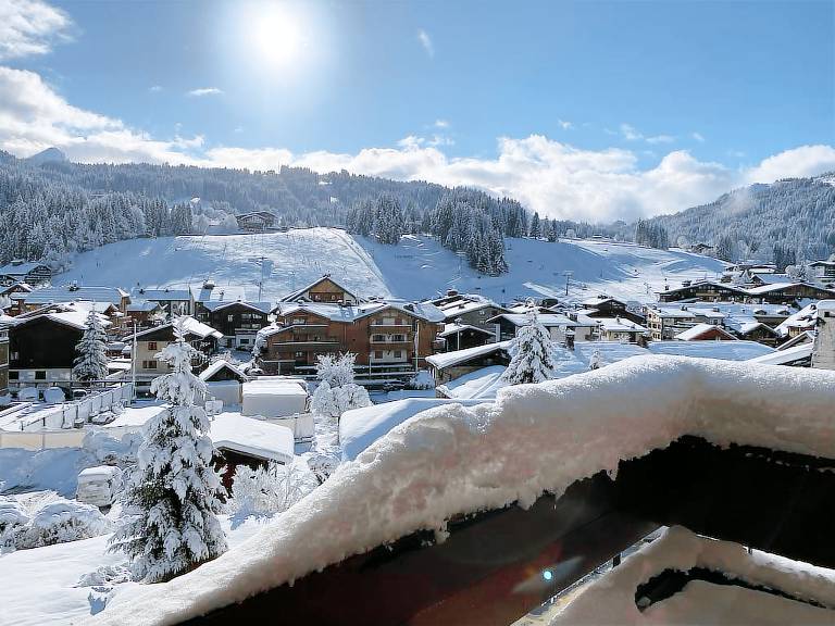 Chalet Les Gets