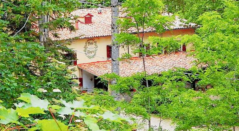 Farm with yard & patio in Abbadia San Salvatore