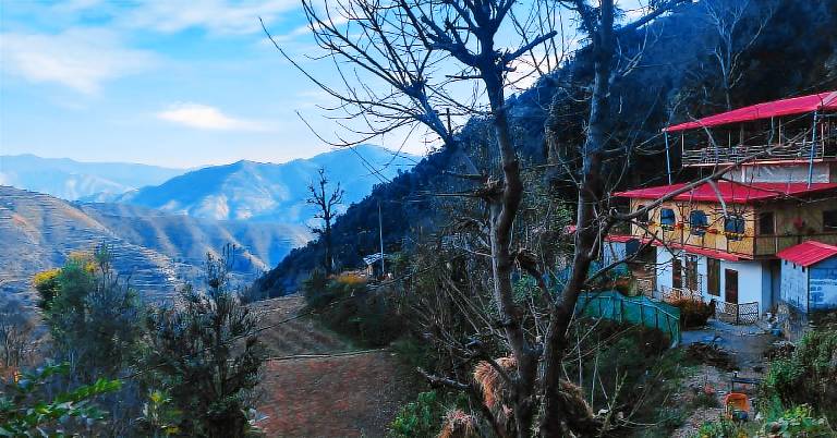 Chakrata green hotel and camping — photo 5