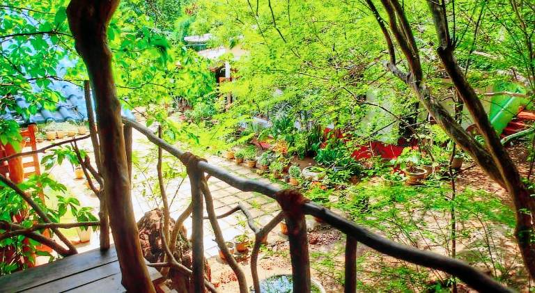 Golden Rainbow Guest House — photo 4