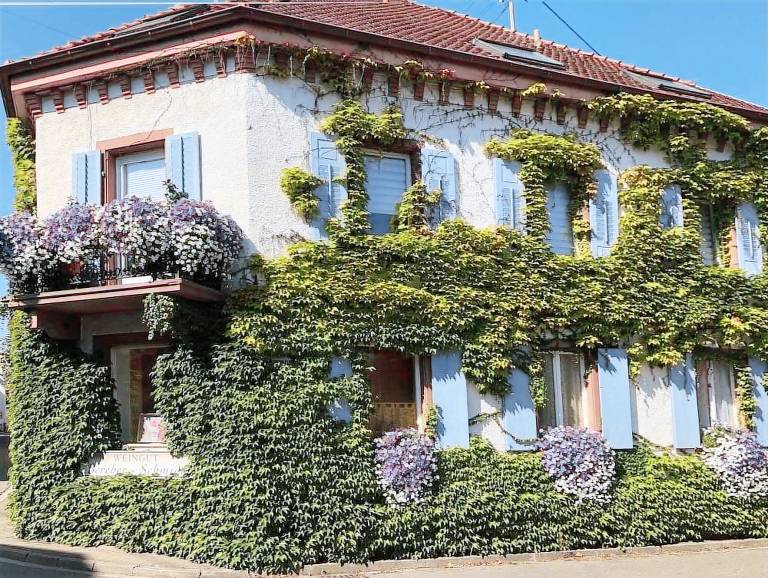 Ferienwohnung  Vogtsburg im Kaiserstuhl