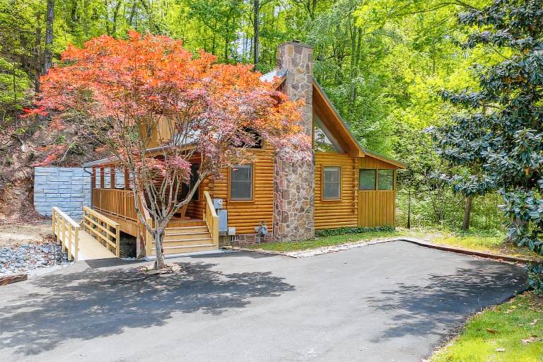 Creekfront Near Parkway Hot Tub Walk to Pool 2 King Suites Pet Friendly — photo 4