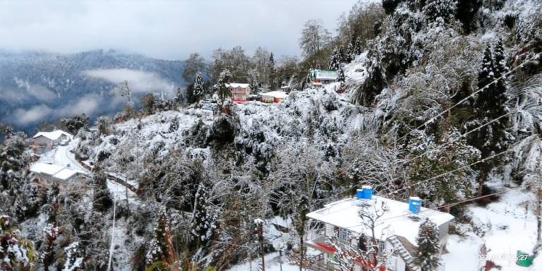 Goroomgo Pink Floyed Homestay Kalimpong — photo 5