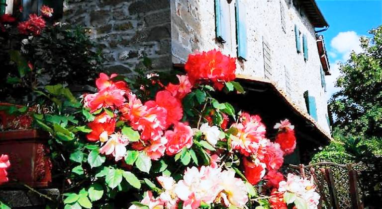Vacation home with 1 room for 7 persons in Reggello