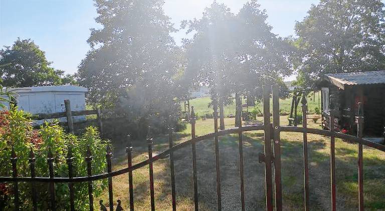 Vacation home | Dogs allowed in Palanga