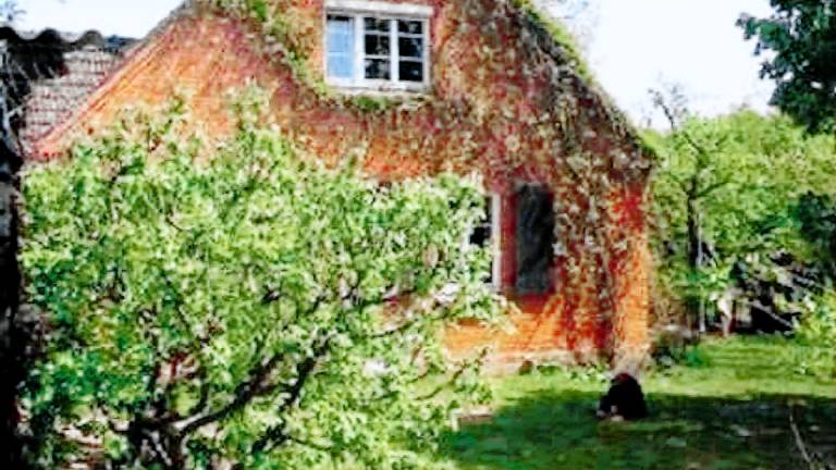 Ferienwohnung Neustrelitz