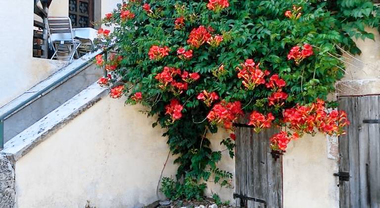 Les chambres du Moulin — photo 4