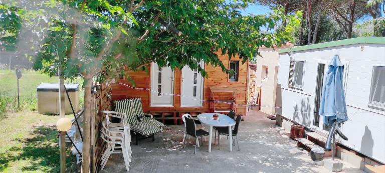 House with patio, garden & barbecue | Garden view — photo 3