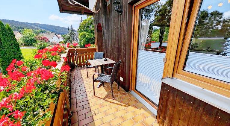 Gastehaus Philipp im Herzen des Fichtelgebirges - 5 Ferienwohnungen, großes Grundstuck, Wald und Wie — photo 5