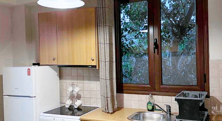 Apartment with terrace | Pet-friendly — photo 5