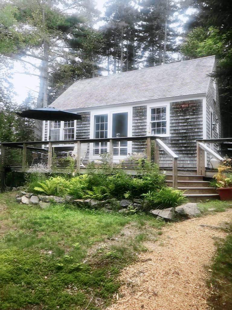 Cabin Seal Cove