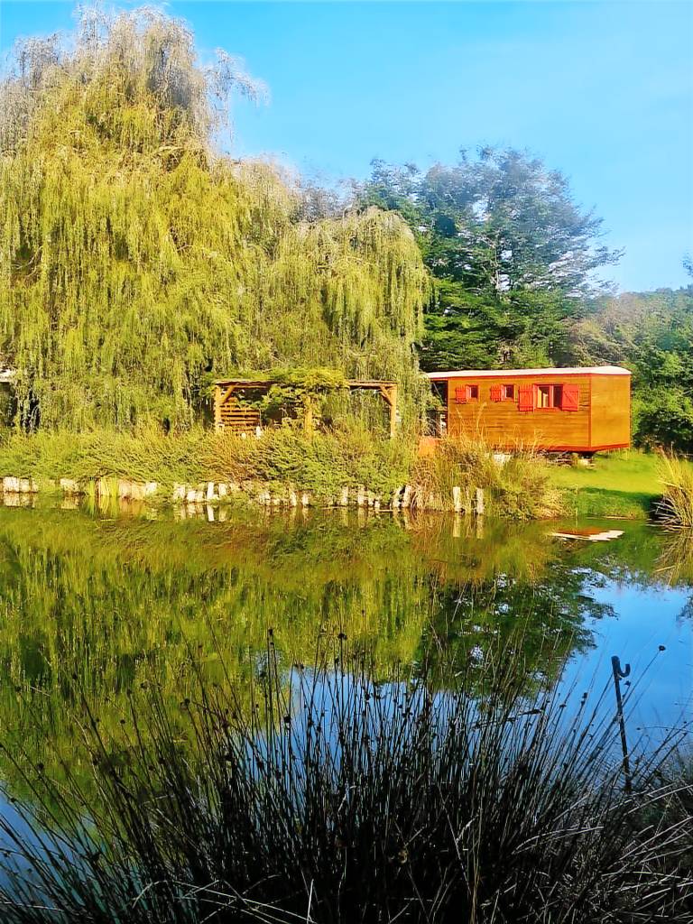 Country House 'La Zibetterie' with Private Pool, Terrace, and Wi-Fi — photo 5
