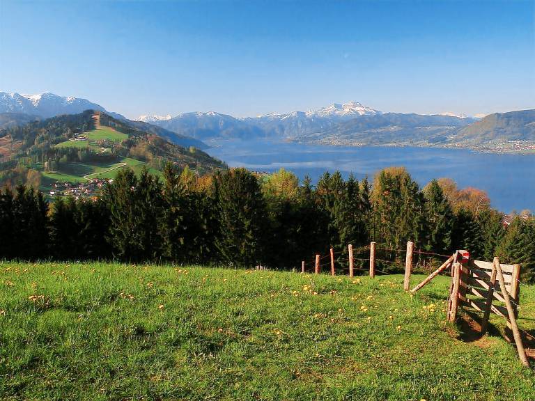 foto1