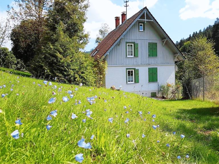 Ferienhaus Enzklösterle