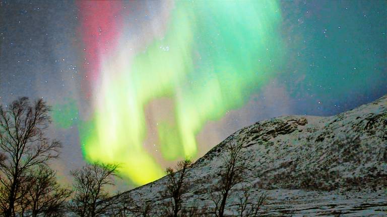 Ferienhaus Mefjordvær