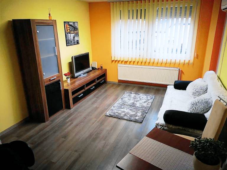Apartment with 1 room for 4 persons in Pecs