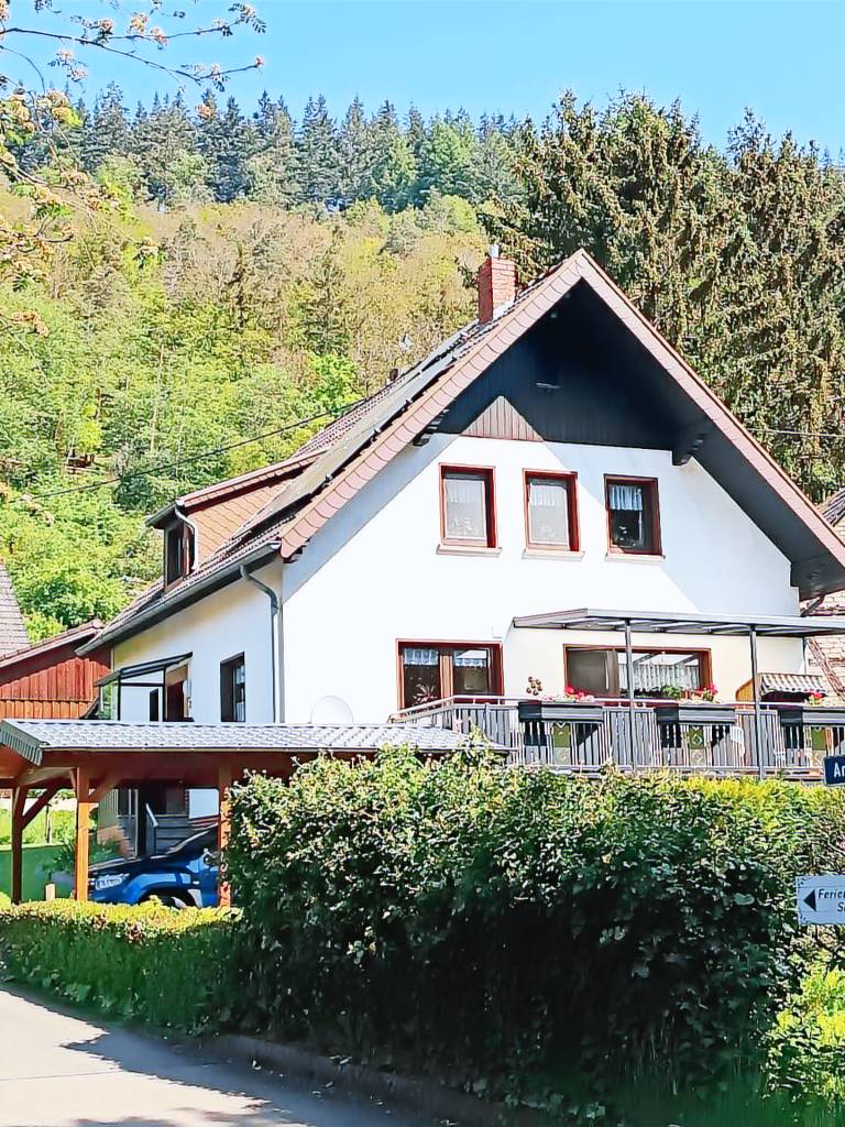 foto1