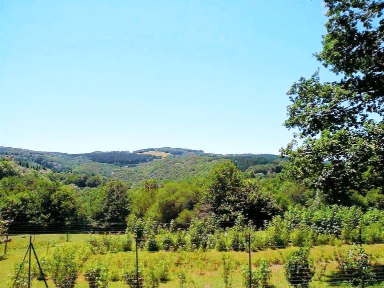 Gite with patio, garden & BBQ — photo 2