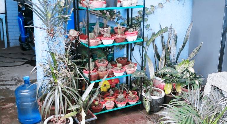 CVBNB ELYU GUESTHOUSE — photo 5