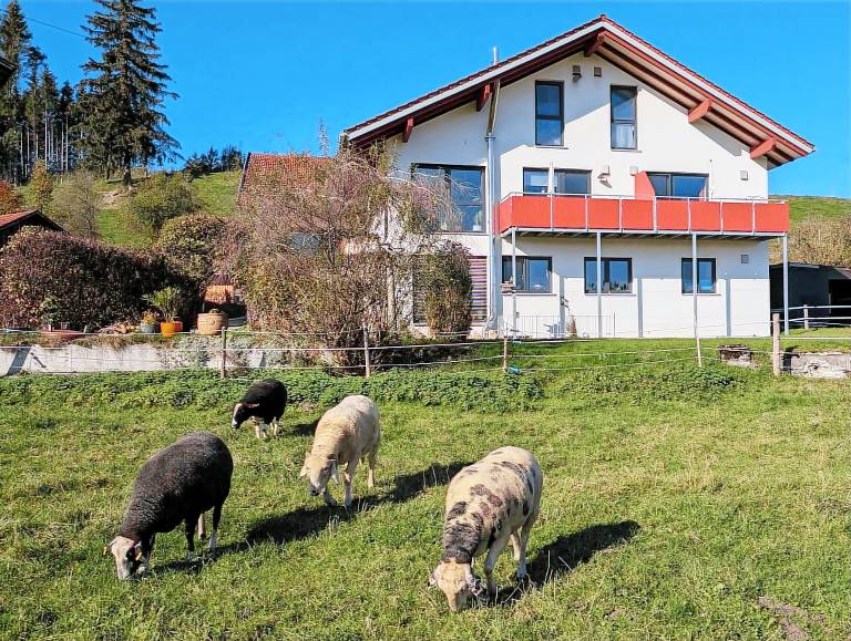 Ferienwohnung Waltenhofen