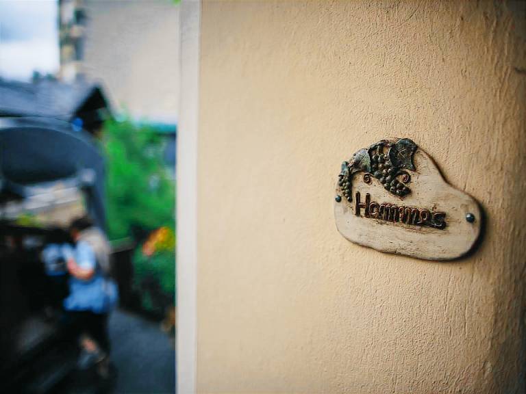 Ferienweingut Hammes — photo 3