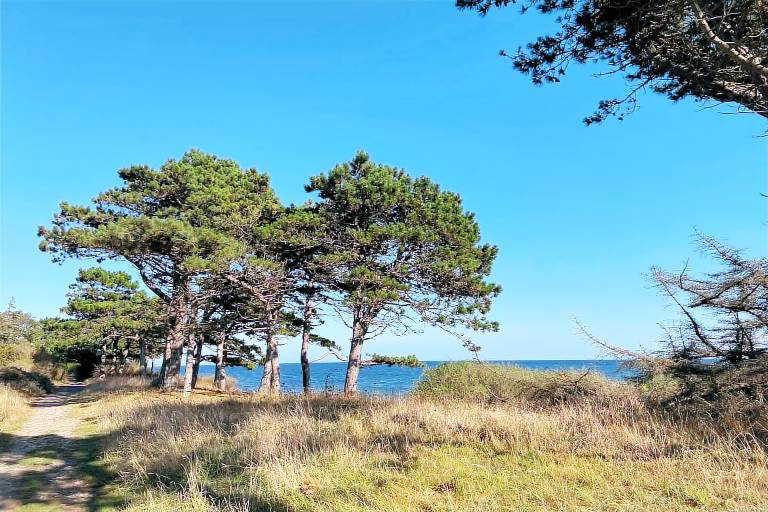 Ferienhaus in Knebel, Helgenæs f&uuml;r max. 6 Personen