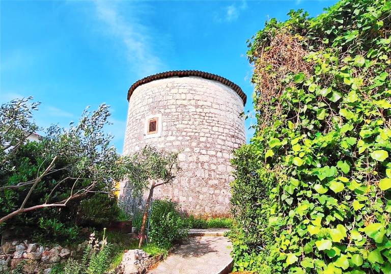 House Rogoznica