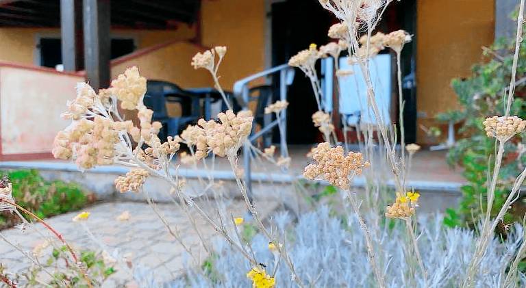 Vacation home with 2 rooms for 5 persons in Castelsardo