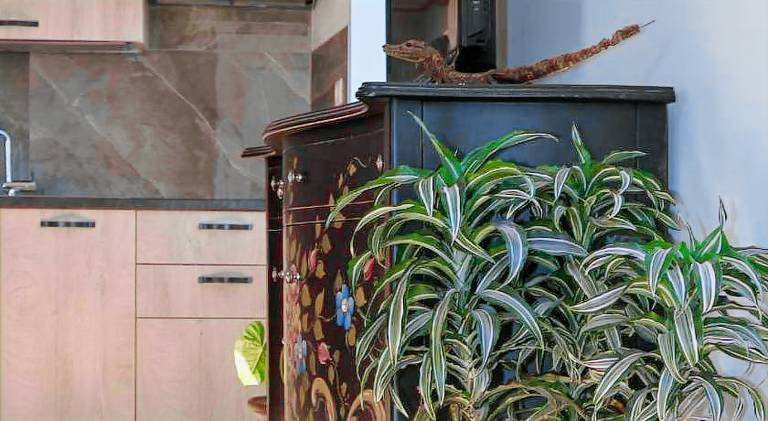 Il sospiro B&B — photo 5