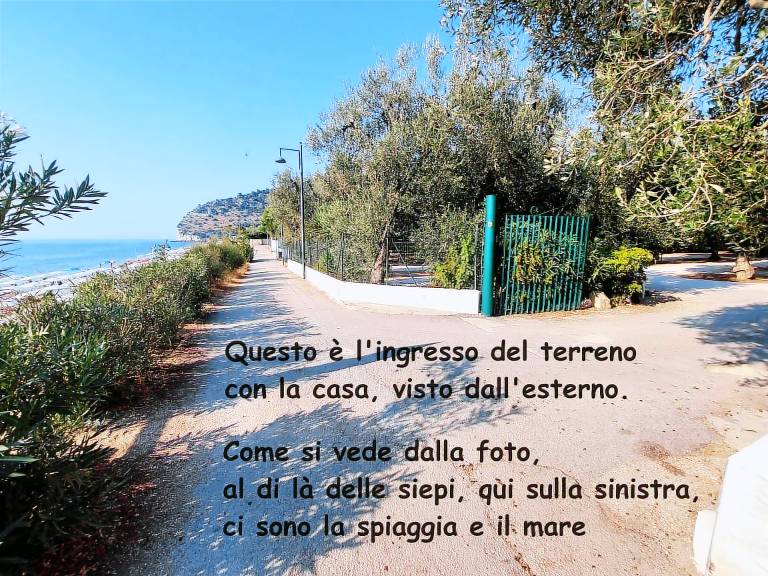 foto3