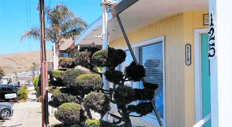 Cypress Tree Motel in Cayucos, CA