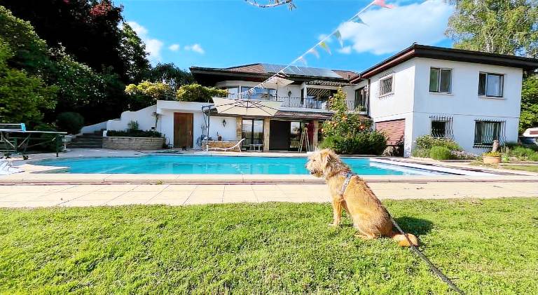 Alps and Lakeview Villa with Pool in Fribourg