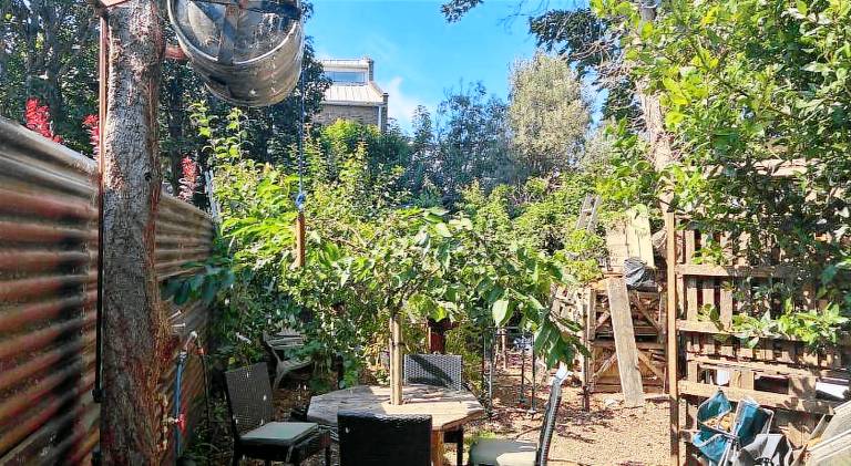 The Orchard — photo 3