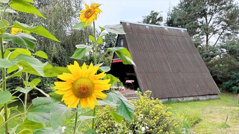 Ferienhaus Ferchesar