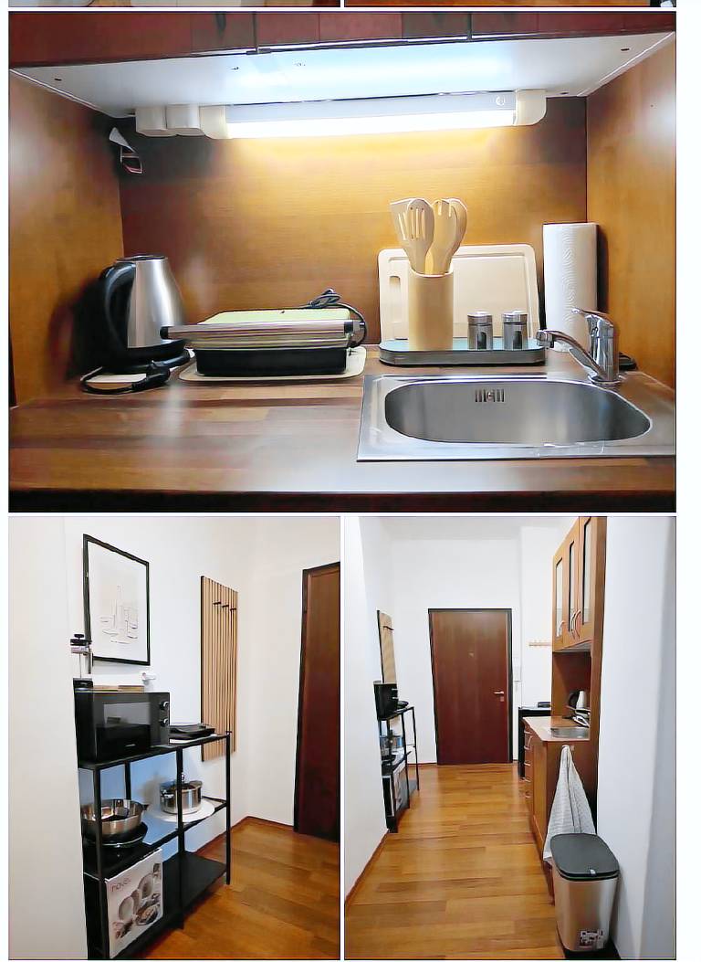 Apartment | Near Dancing House | Pets allowed in Prague