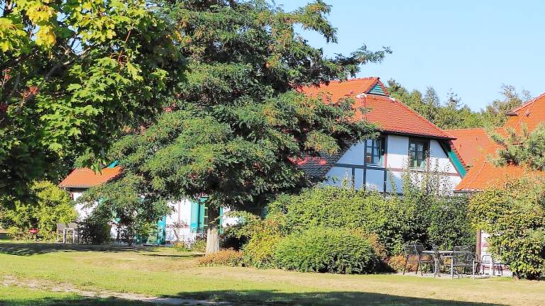 Ferienwohnung  Dranske