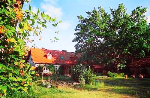 Bed & Breakfast Trzcianka