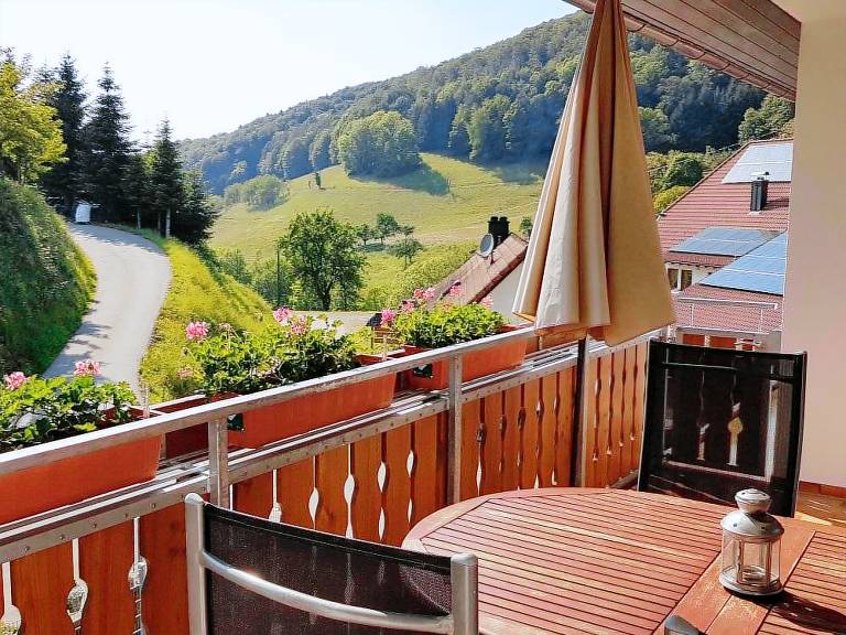 Ferienwohnung Freiamt