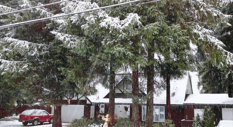 Grandma's Suite - PRIVATE APARTMENT REDUCED PRICE ON TOURS in Juneau, AK