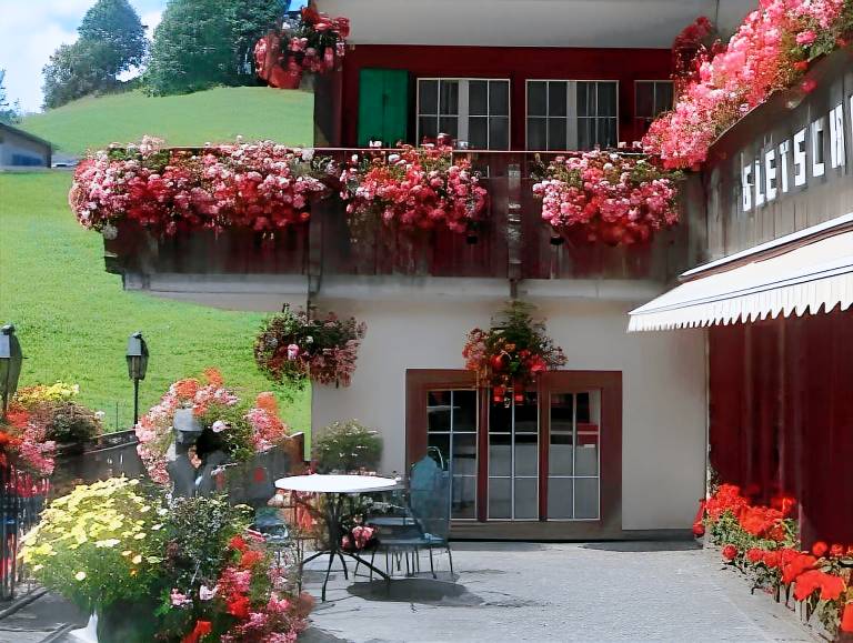 Hotel Gletschergarten — photo 5