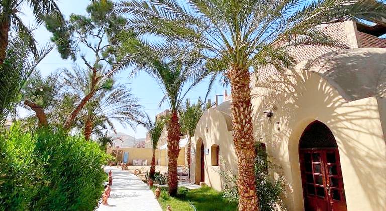 Sekhmet Retreat Centre — photo 4