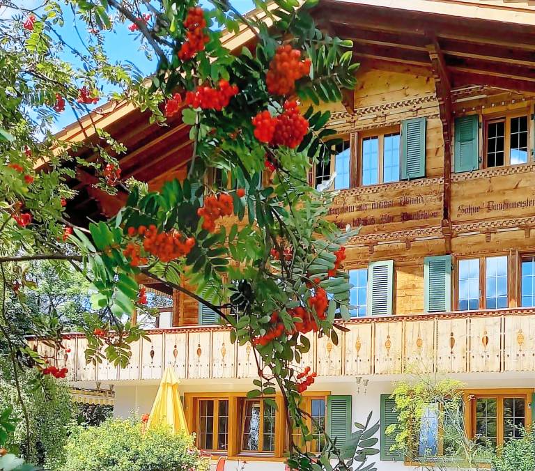 Ferienwohnung Lenk