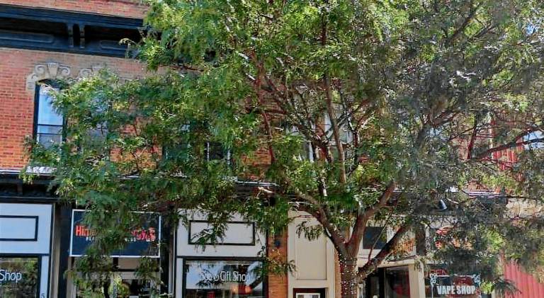 88 m² Ferienwohnung