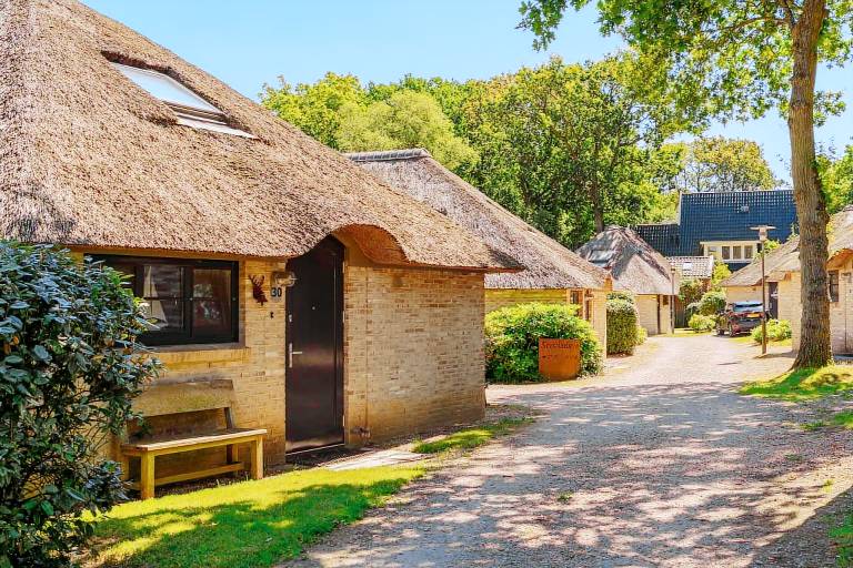 Ferienhaus mit Hund in Schoorl für max. 4 Gäste