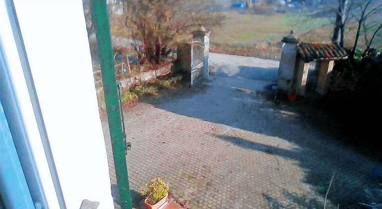 Il cotogno — photo 4